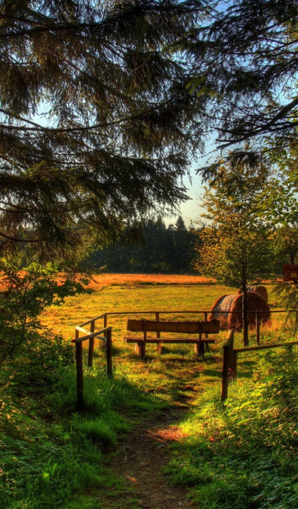 Летняя полянка