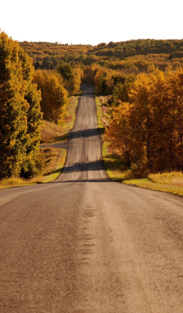 Пейзаж у дороги