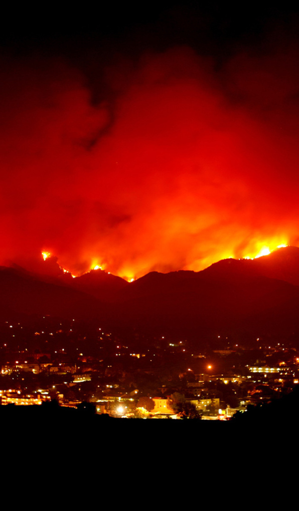 Лесной пожар