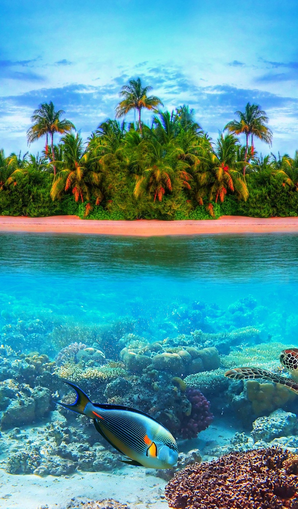 Остров в тропиках