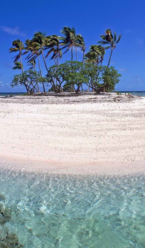 Маленький остров с деревьями