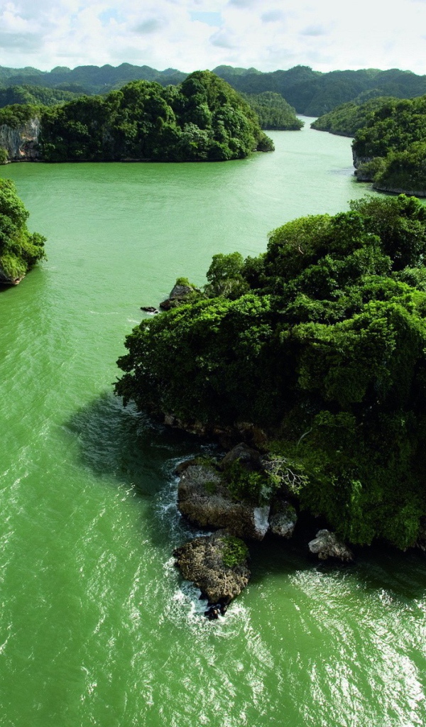 Зеленые острова