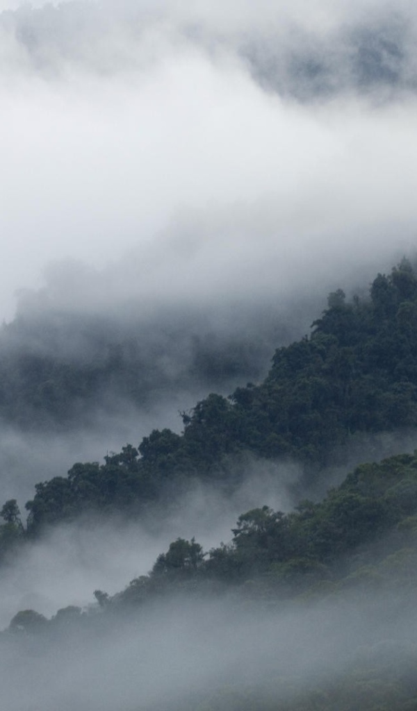 Эквадорские туманы в горах