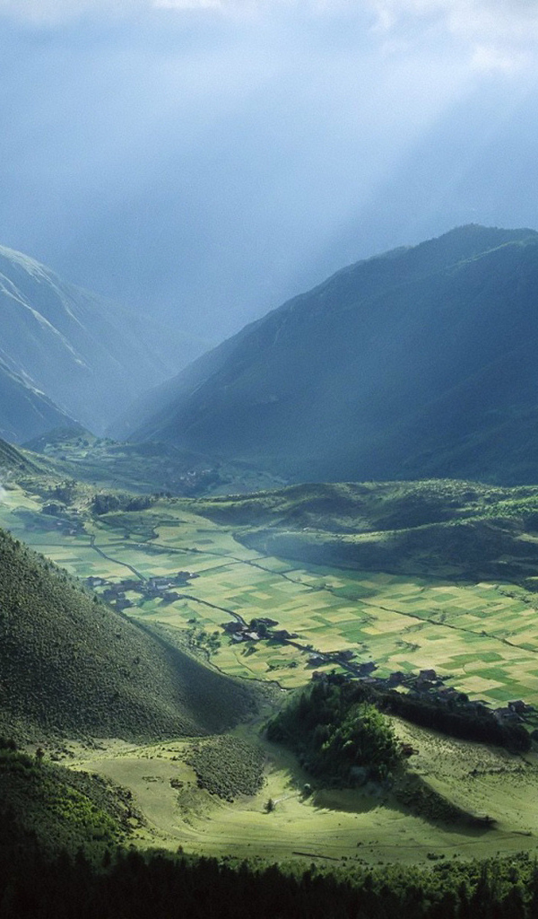 Поле в долине