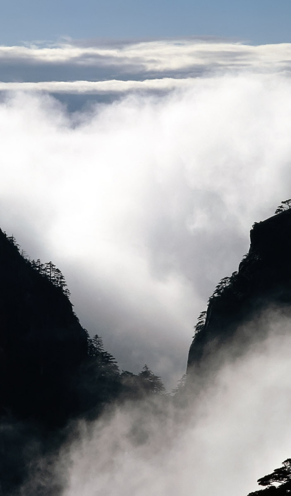 Туман в горах