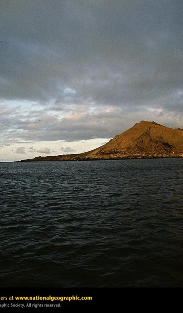 Золотая скала