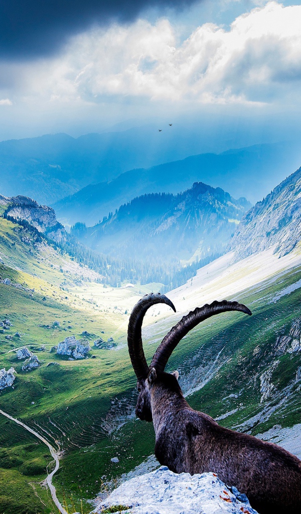 Вершины гор