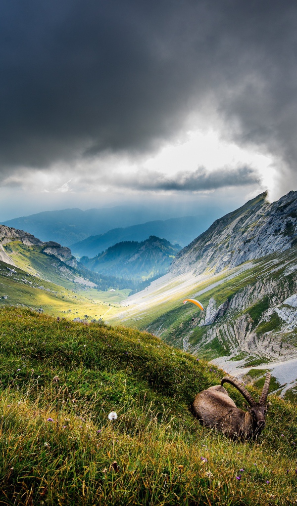 Вершины гор в Швейцарии