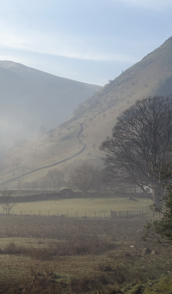 Горная долина в тумане