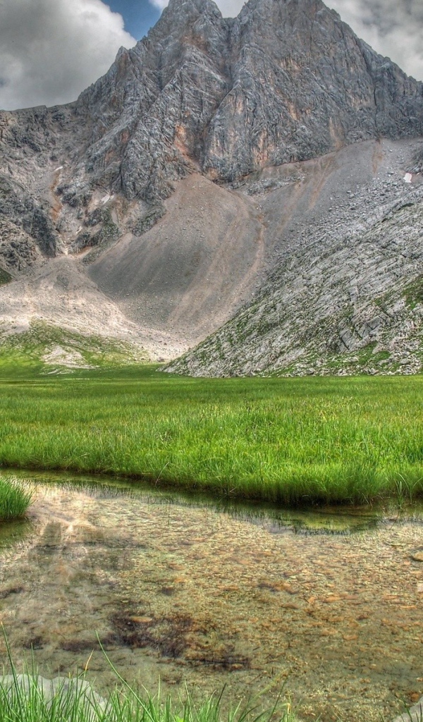 Заросшее травой озеро