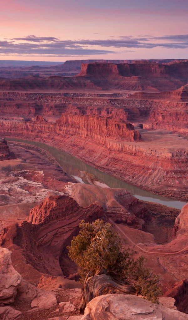 Розовый каньон