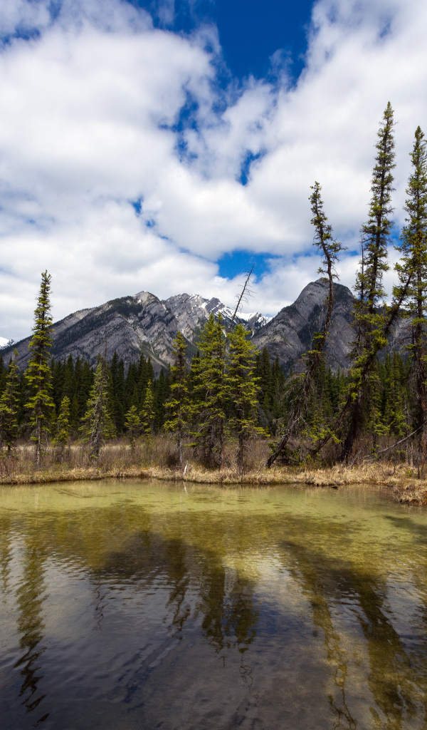 Маленькое озеро и красивые горы