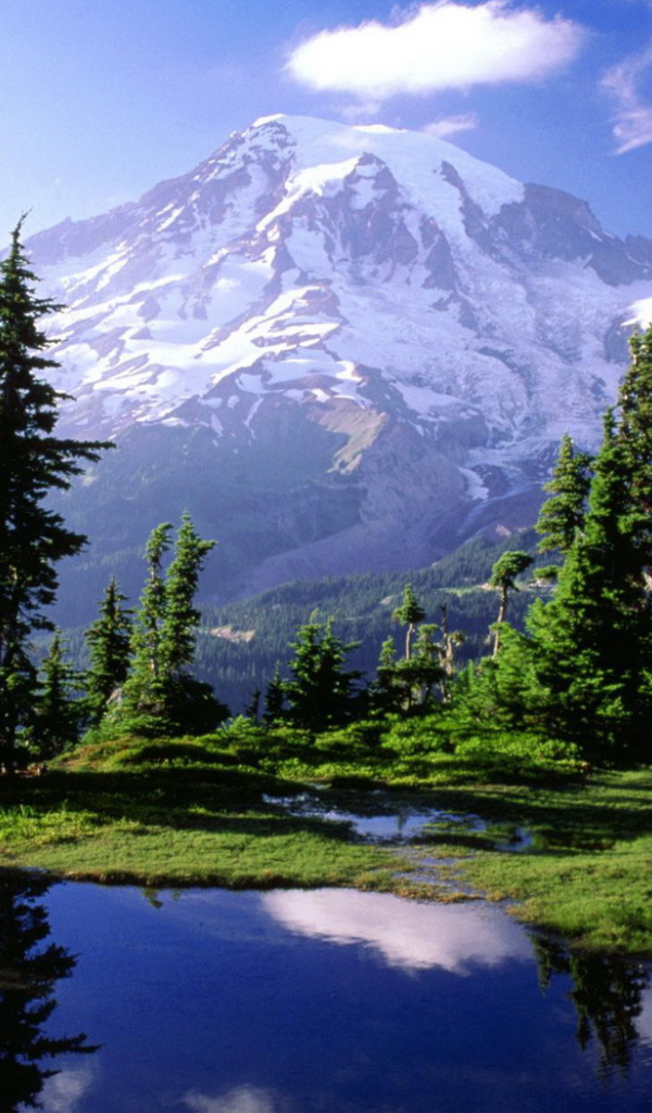 Снежная гора вдали