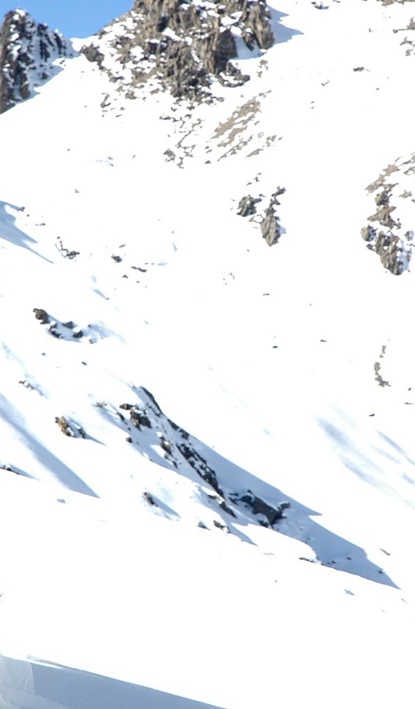 Невеста в снежных горах