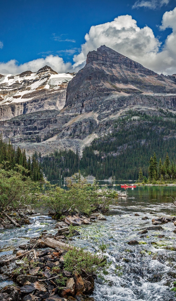 Горная река среди леса