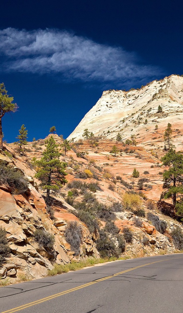 Дорога в желтых горах