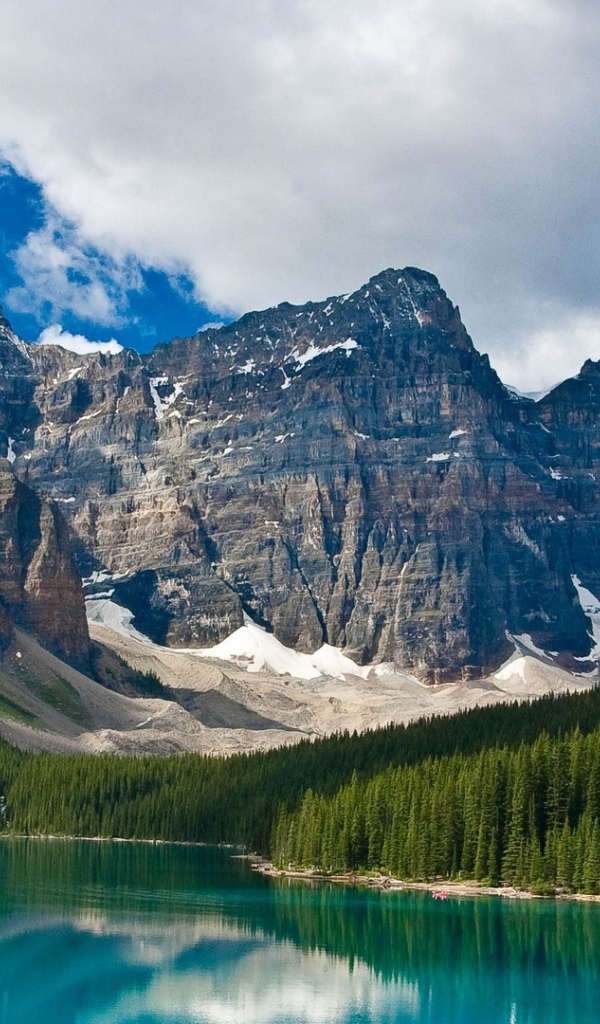 Ель на берегу озера