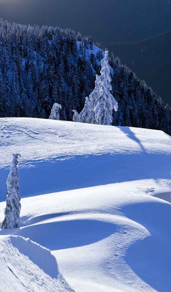 Горный пейзаж Колумбии