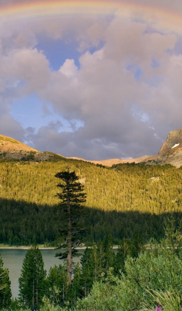 Радуга после дождя