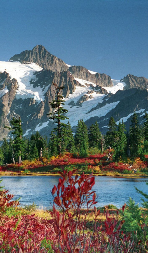 Озеро и лес в горах