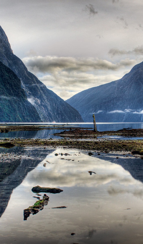 Дикая природа гор