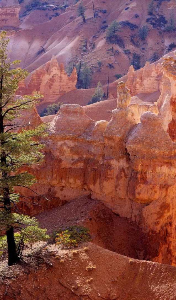 Каньон утах в америке