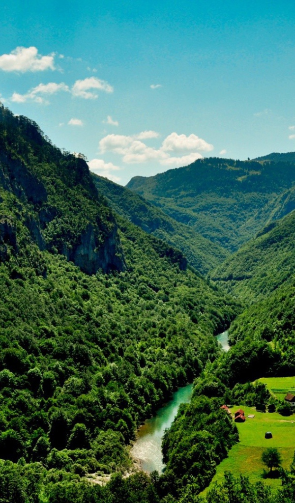 	   Green mountains and the river