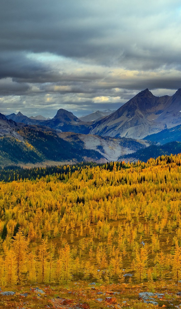 Горы в Канаде