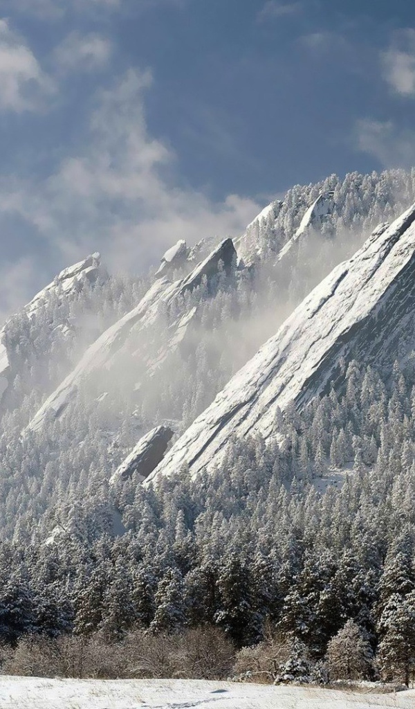 Скалы и деревья