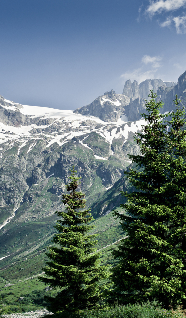 Снежные горы и деревья