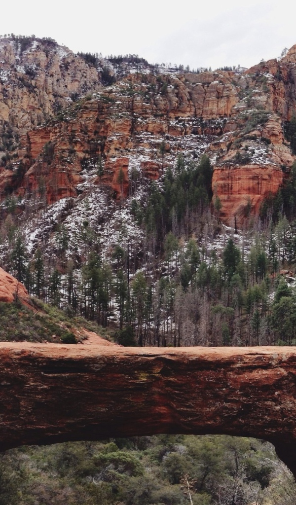 Мост через ущелье