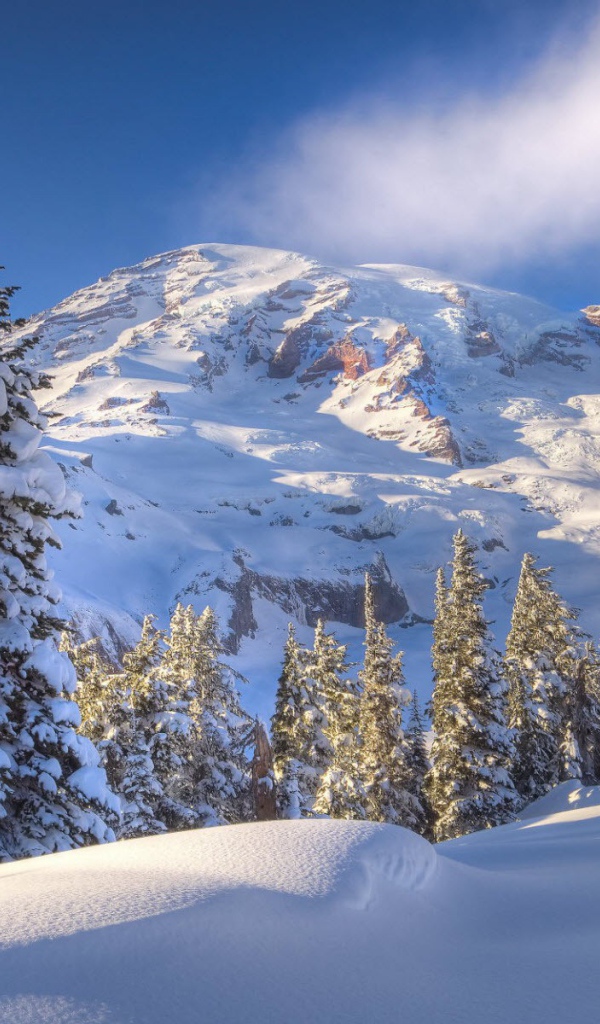 Зимний горный пейзаж