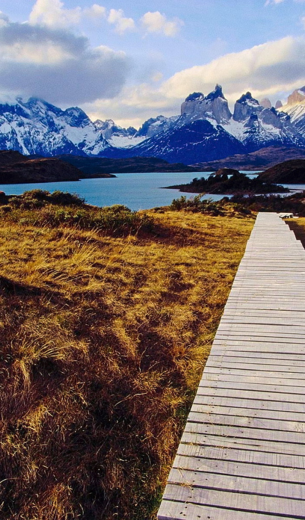 Деревянная дорожка к озеру