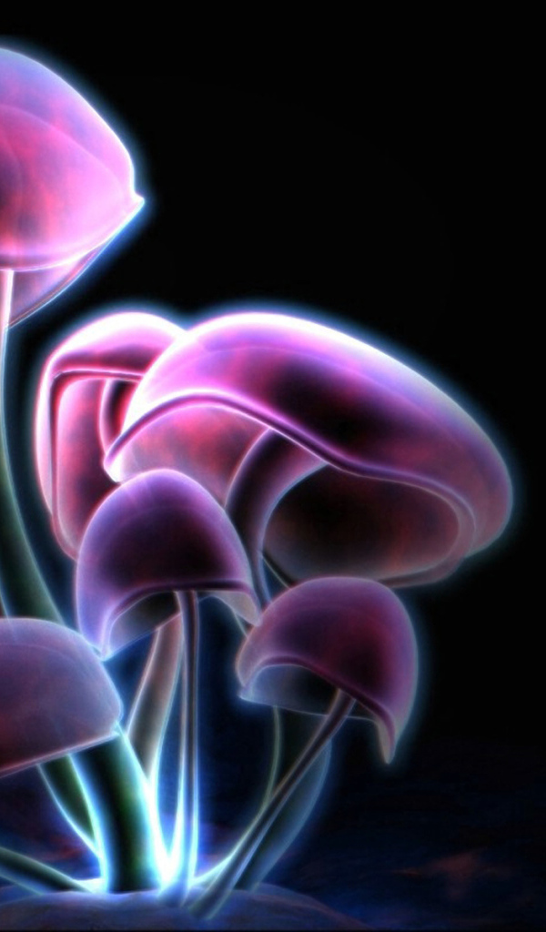 Фиолетовые грибы