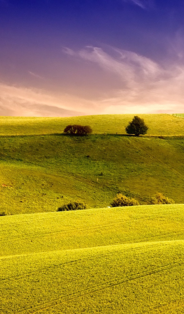 Красивый пейзаж