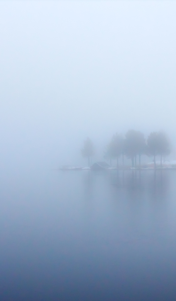 Голубой туман