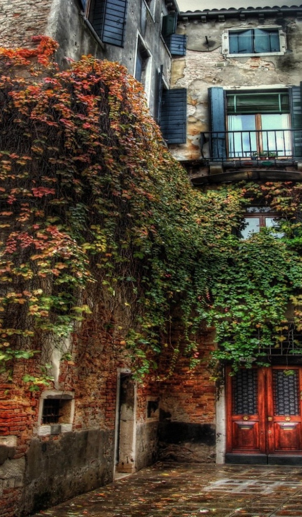 Старый дом заросший травой