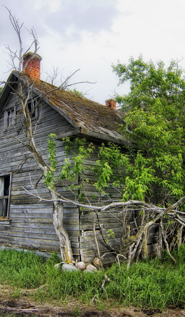Старый деревянный дом