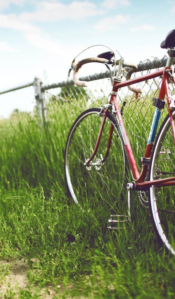 Велосипед у забора