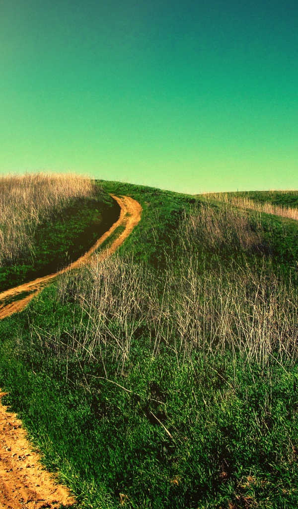 Дорога на холм