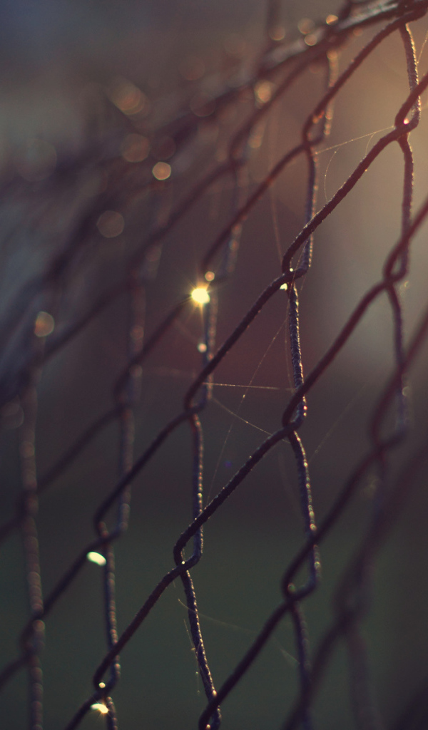 Проволочный забор