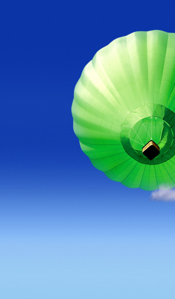 Воздушный шар в небе