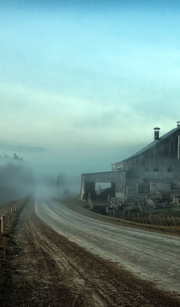 Туман на дороге