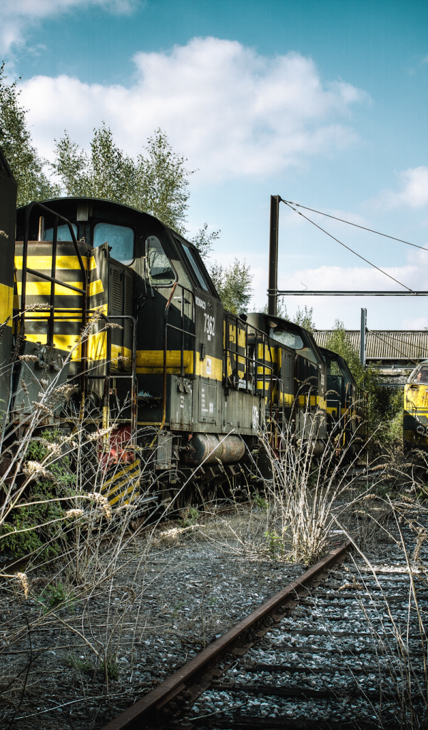 Старая заросшая травой железная дорога