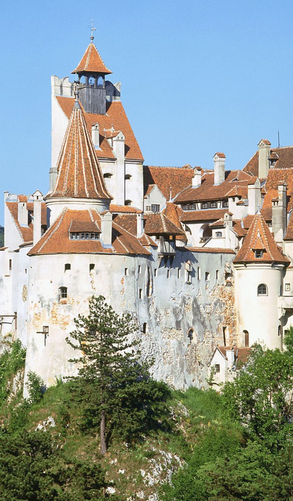 Дворец Дракулы