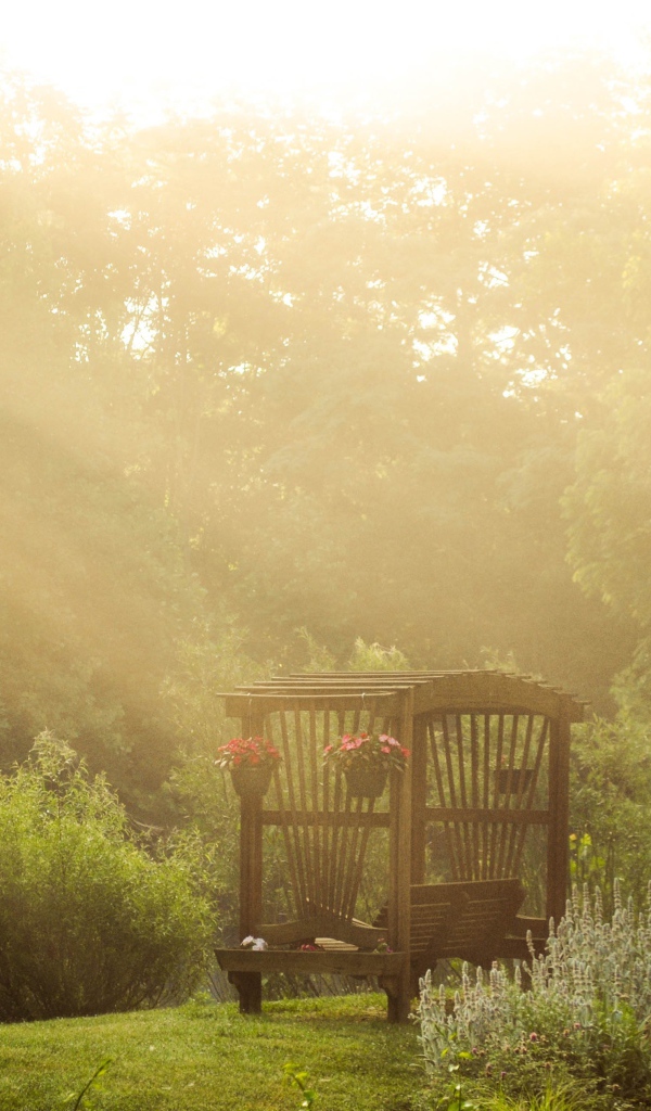 Лучи солнца через деревья