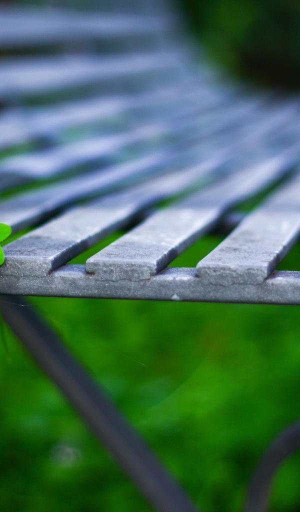 Лист на садовой скамейке