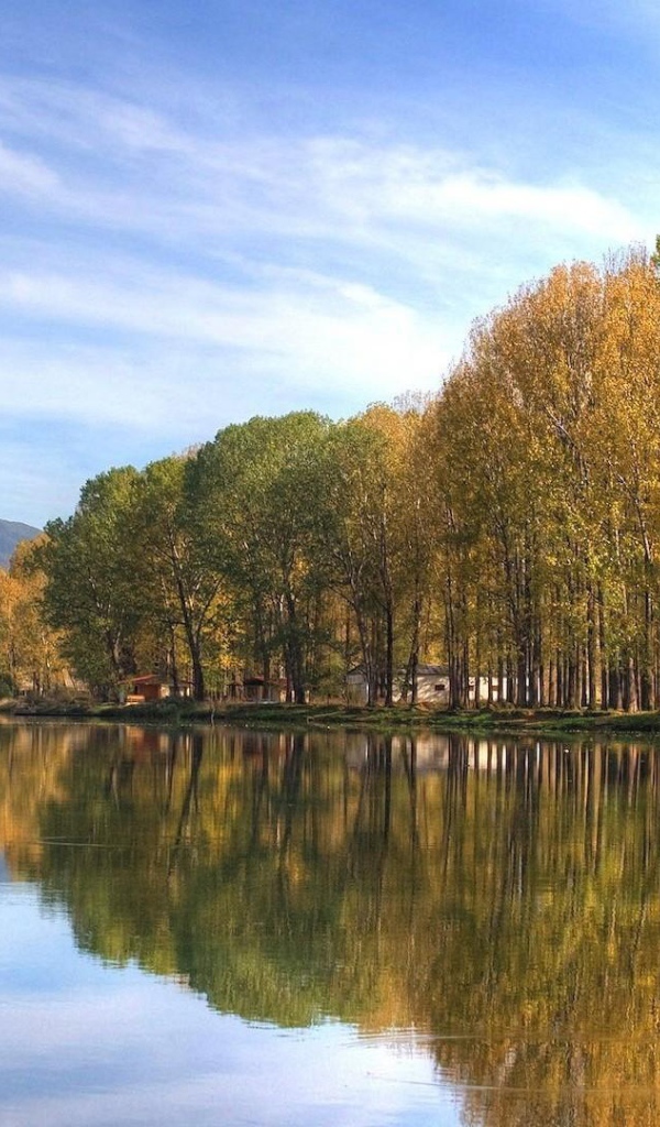 Осенний лес на берегу озера