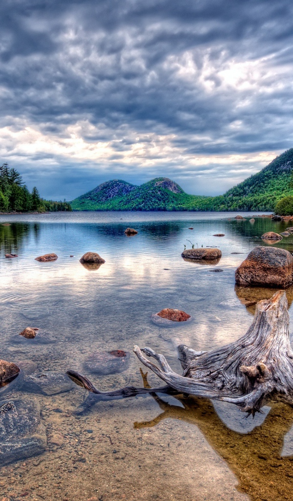 Красивое дикое озеро