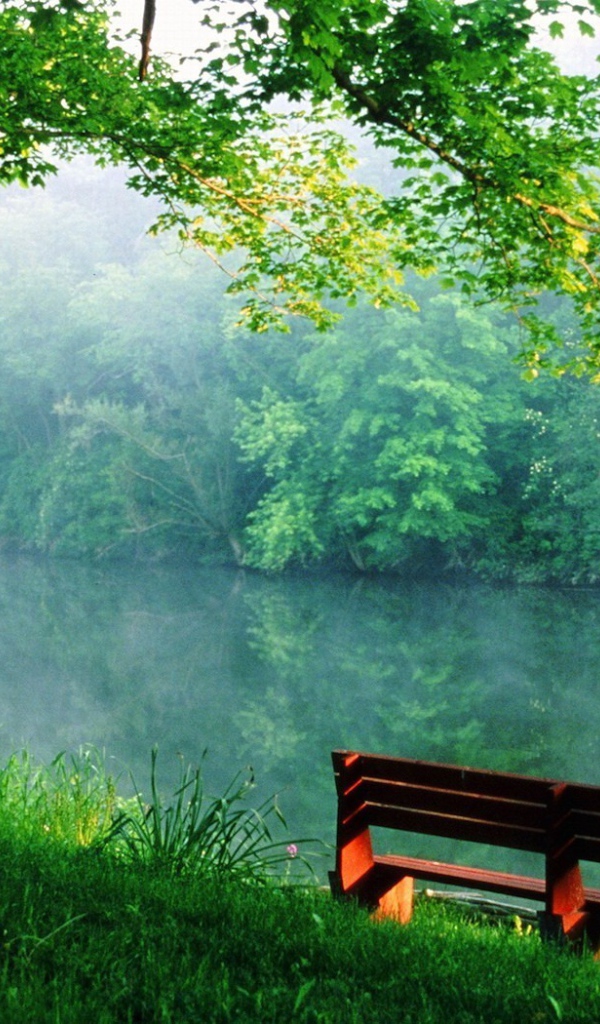 Скамейка на берегу реки